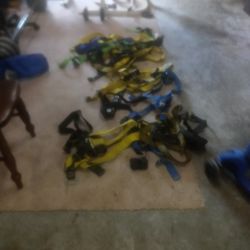 Fall Protection Harness