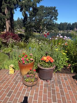 ESTATE SALE on Lake Steilacoom