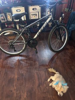 Huffy Bike