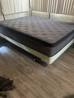 New Queen Mattress