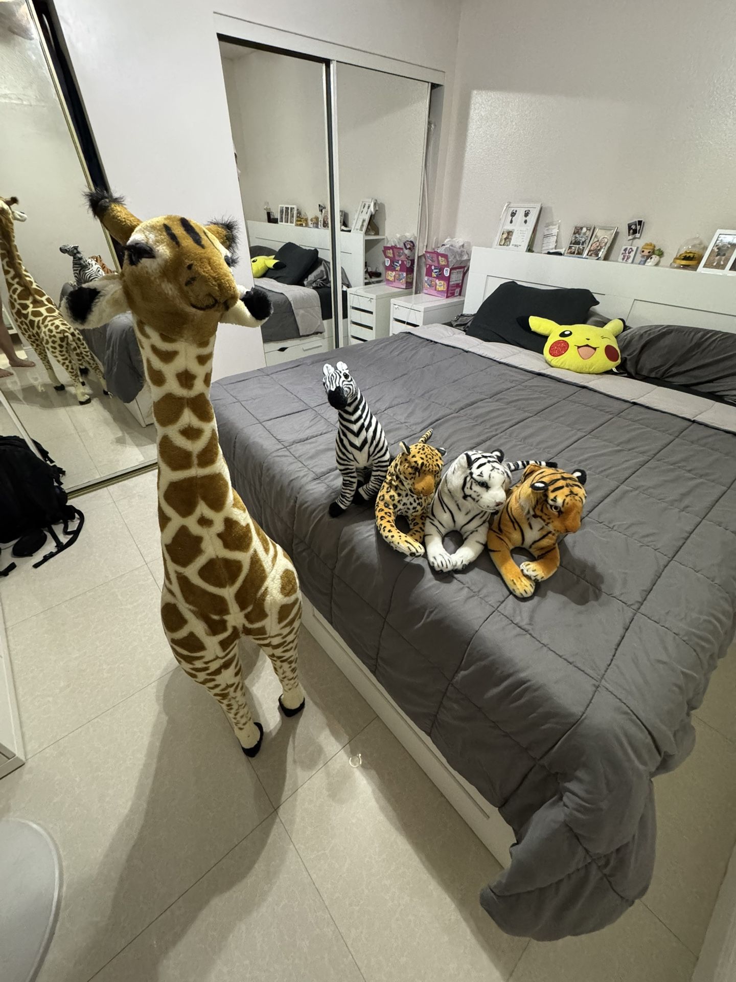 ZOO ANIMALS
