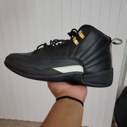 Jordan 12s Retro The Master