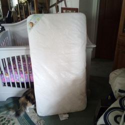 Extra Firm Infant & Toddler Mattress 