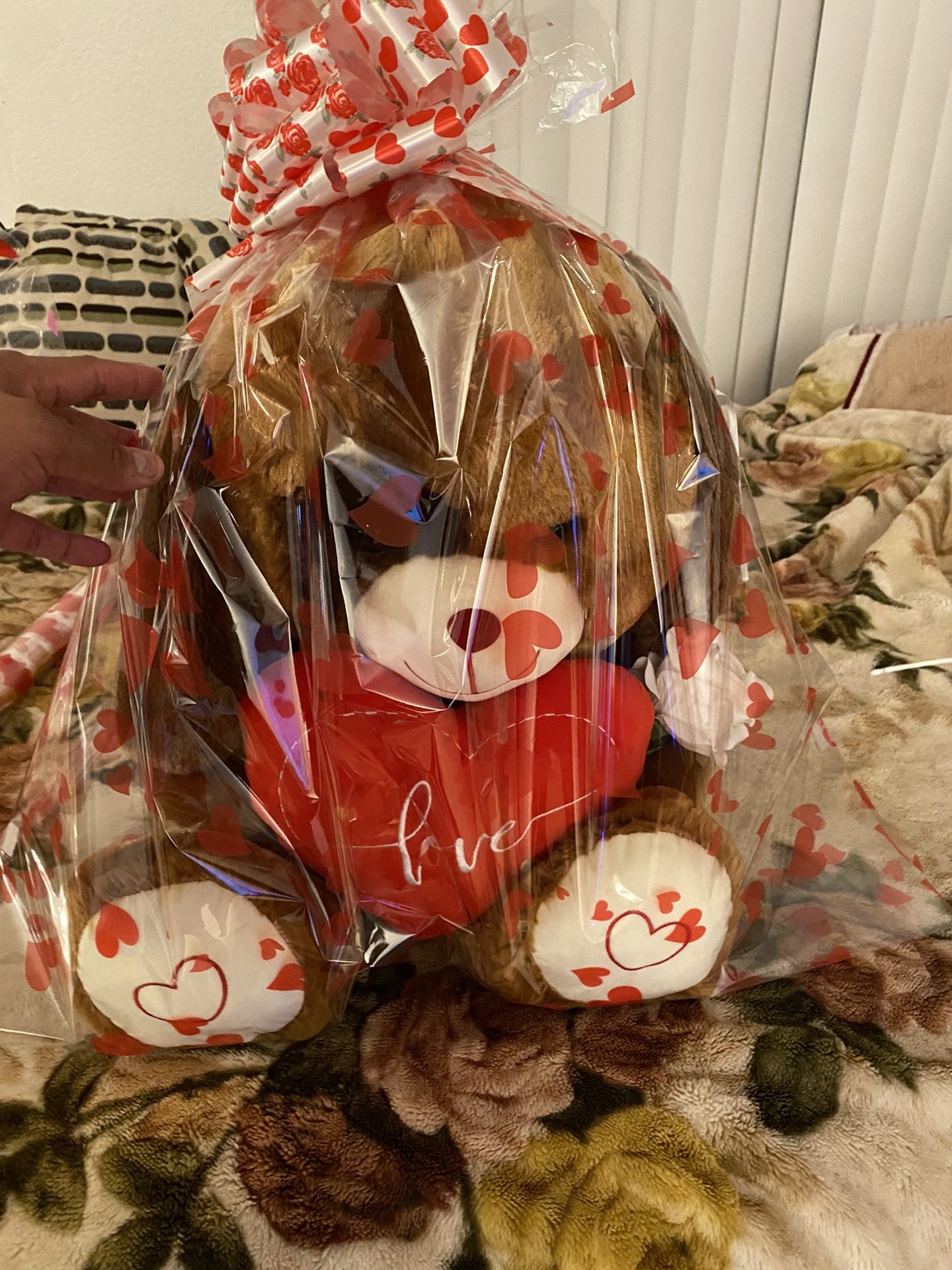 Teddy Bear Big Size
