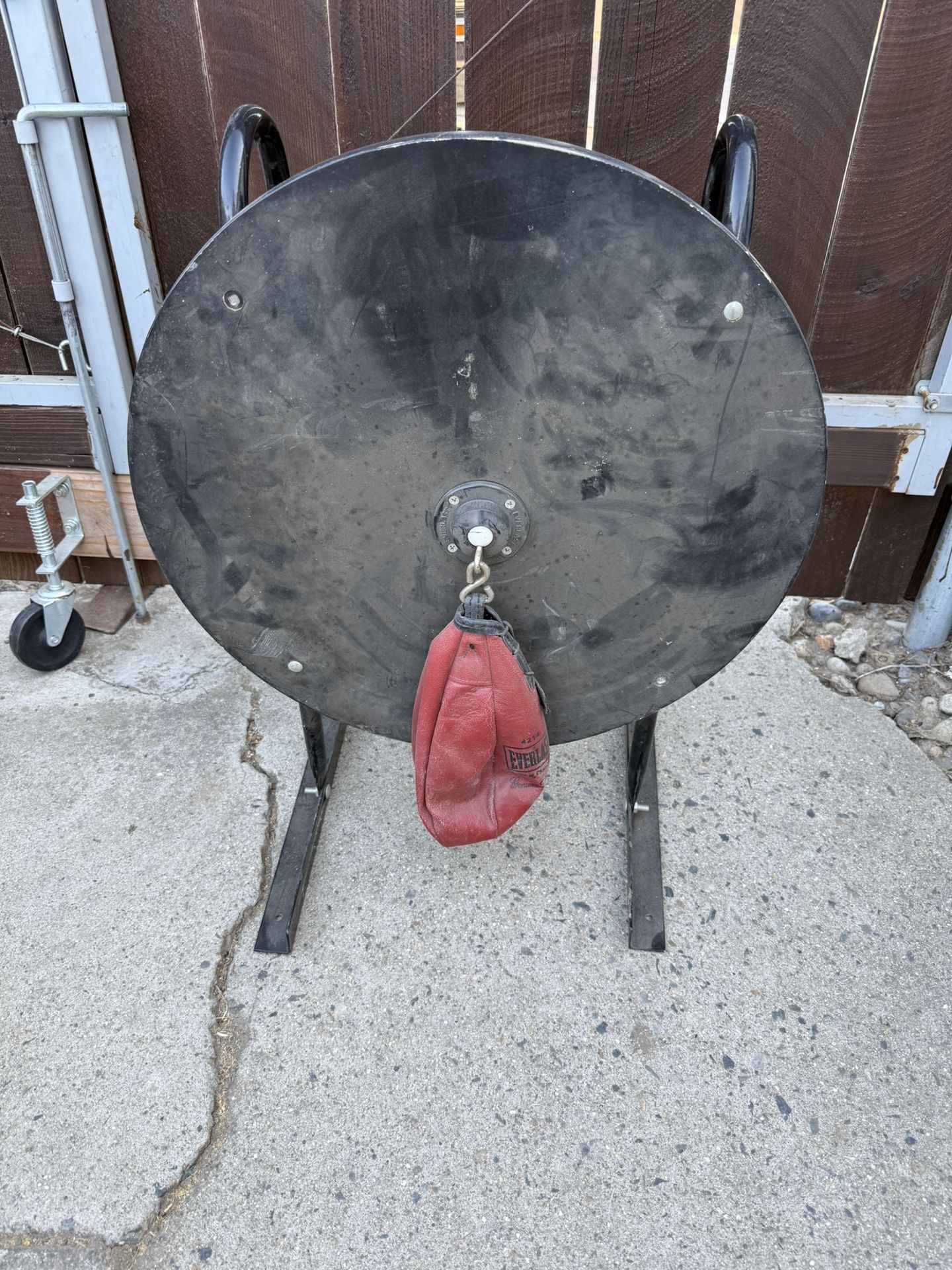 Speed Punching Bag
