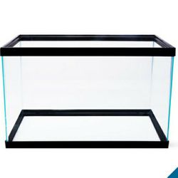 10 Gallon Tank