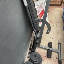 Bench And Weights 