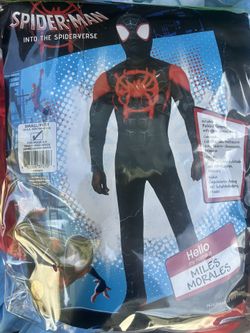 Spiderman Into The verse