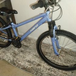 Haro 24in Bike