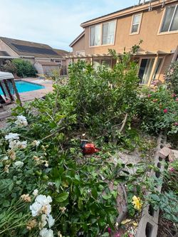 Tree 🌲 Bush Chop Saw