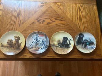Collector plates cats, and dogs