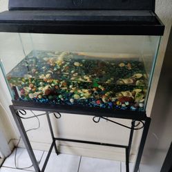 10gal Pet Tank