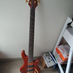 Schecter Stilletto 5 String Bass Guitar/Practice Amp