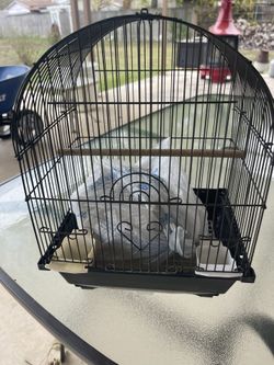 Bird Cage