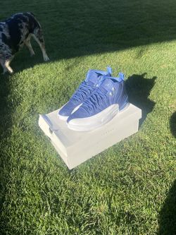 Air Jordan 12 “Indigo” Size 9.5 With Box