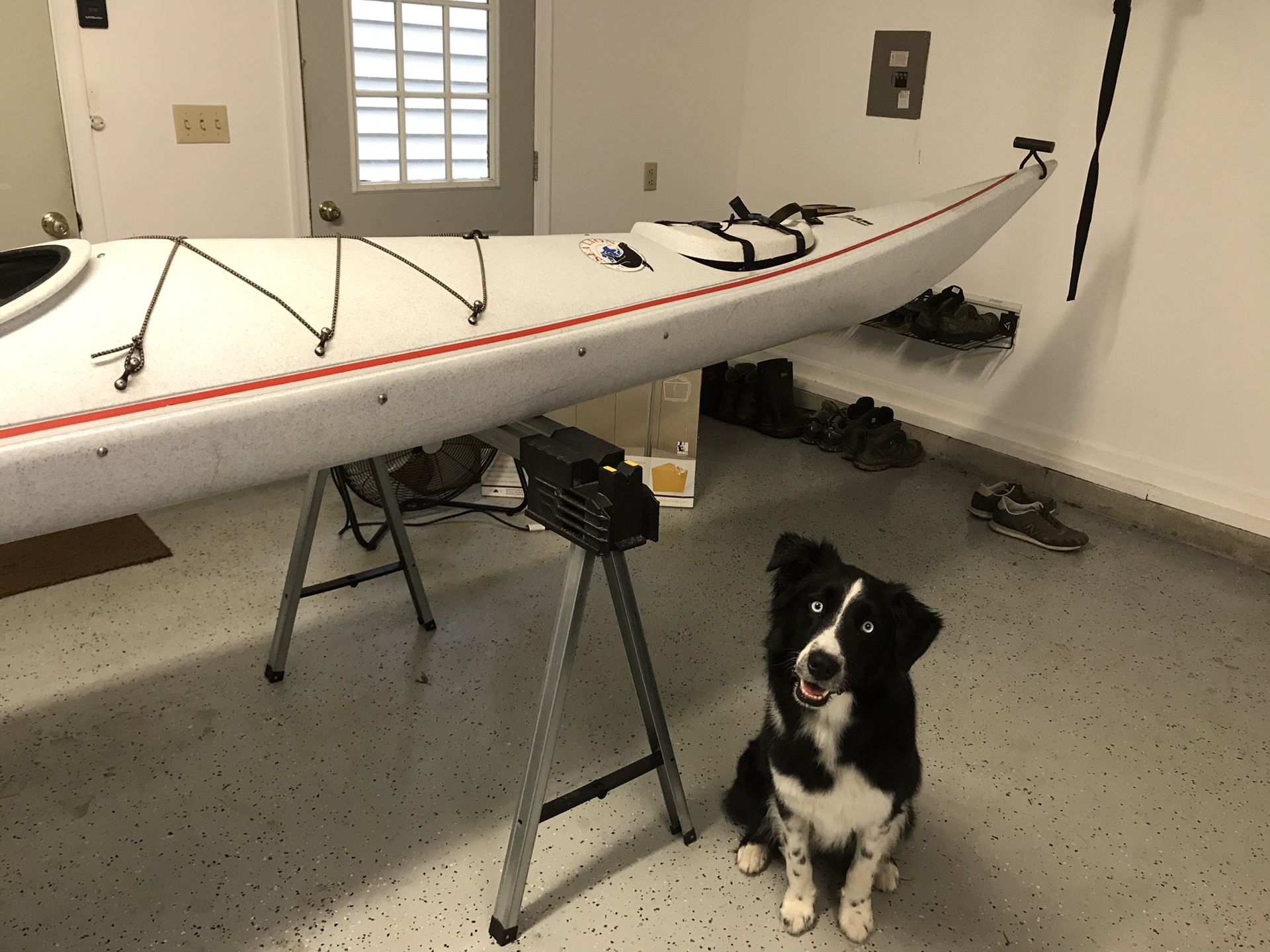 Perception Sea Lion Sea Kayak for Sale in Williamsburg, VA OfferUp