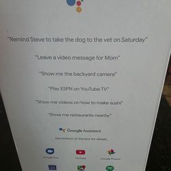 Google Next Hub Max