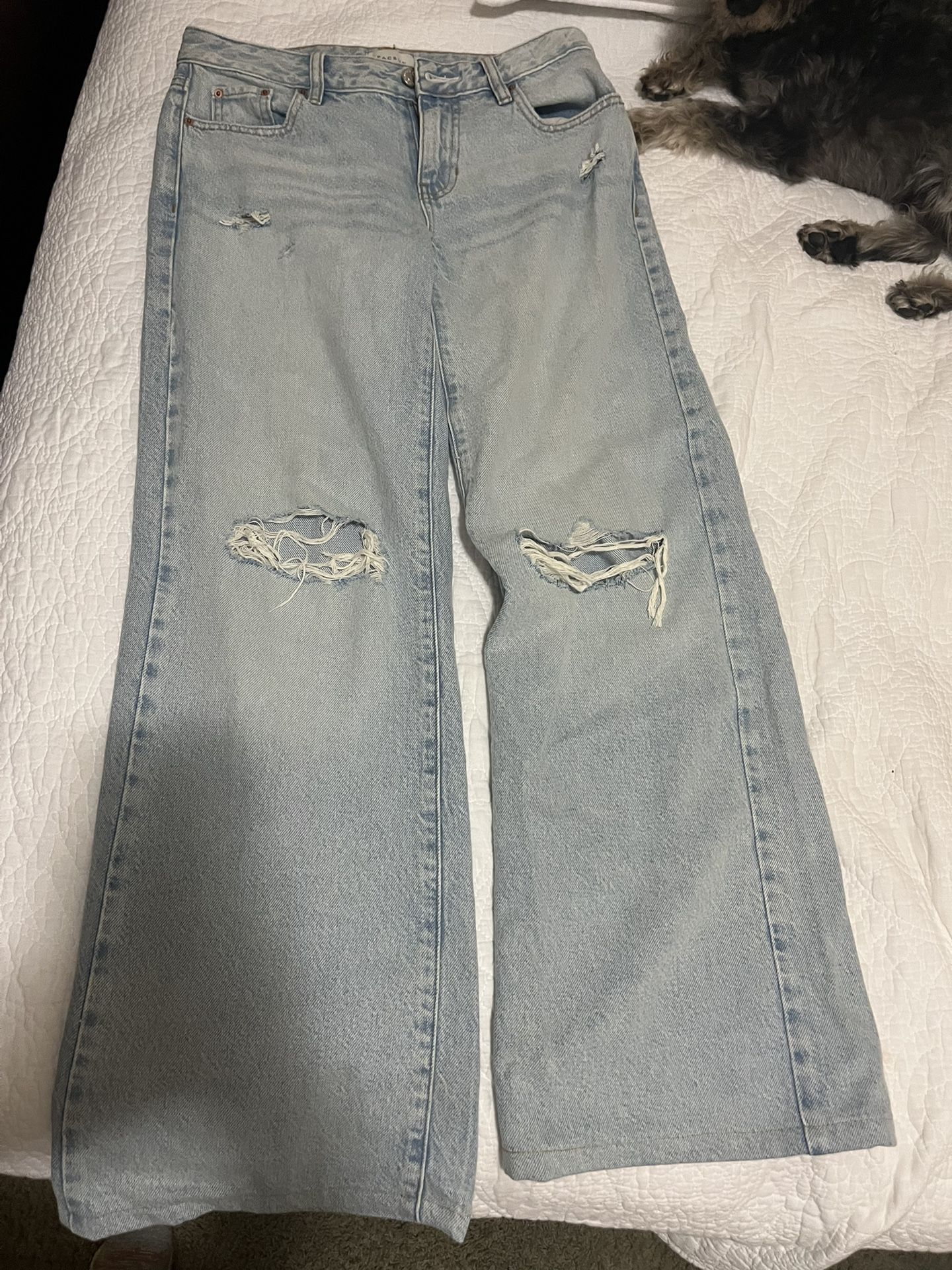 Pacsun Low Rise