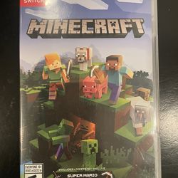 Minecraft - Switch version