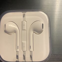 Apple Earbuds 