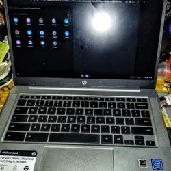 Hp Chromebook 