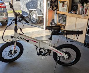 Adult Electric Bike
