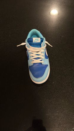 Nike Dunk Low Argon Used No Box Size 8.5