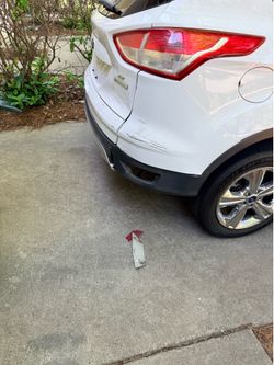 2015 Ford escape