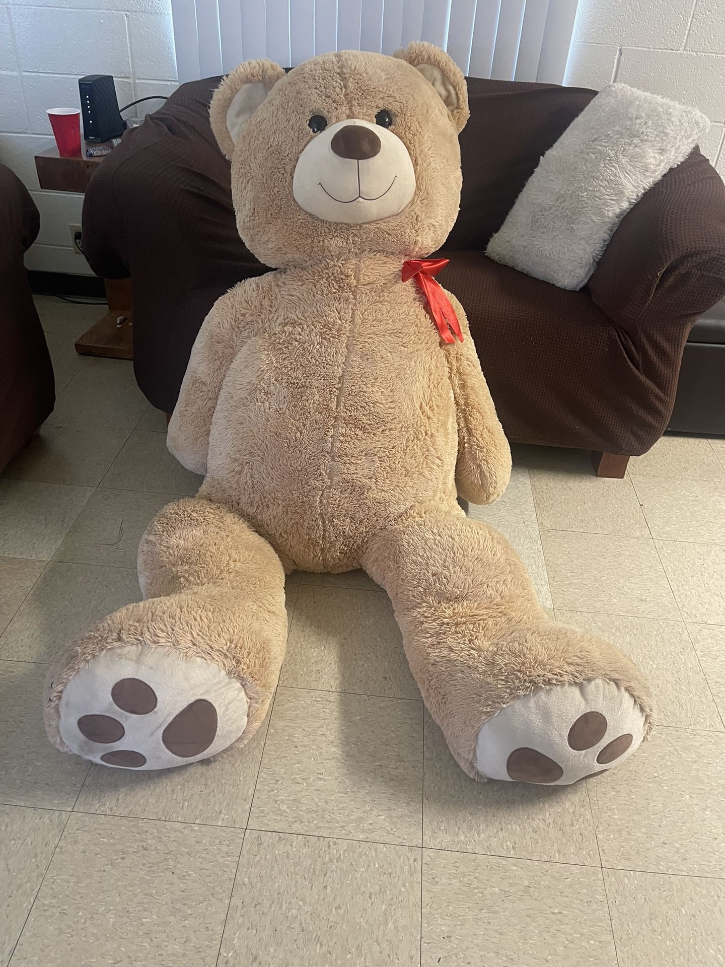 5’5 feet Bear Need Gone Going To Be Moving To A Smaller House With Smaller Rooms 