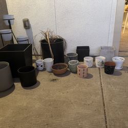 Pots For Plants (variety) 