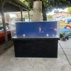 60” By 18w TruVu 100 Gallon Fish Tank 