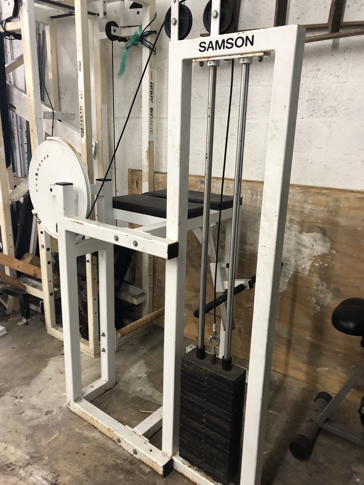 Samson reverse hyper extension gym equipment