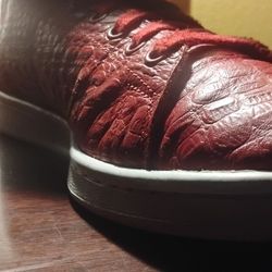 A.D.I.D.A.S  Roha/Red Elite l Cruisers 