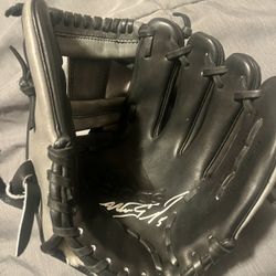 Autograph Baseball Glove 