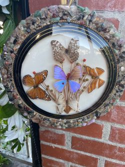 Vintage Butterfly Decor