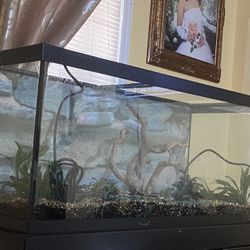 75 Gallon Fish Tank 