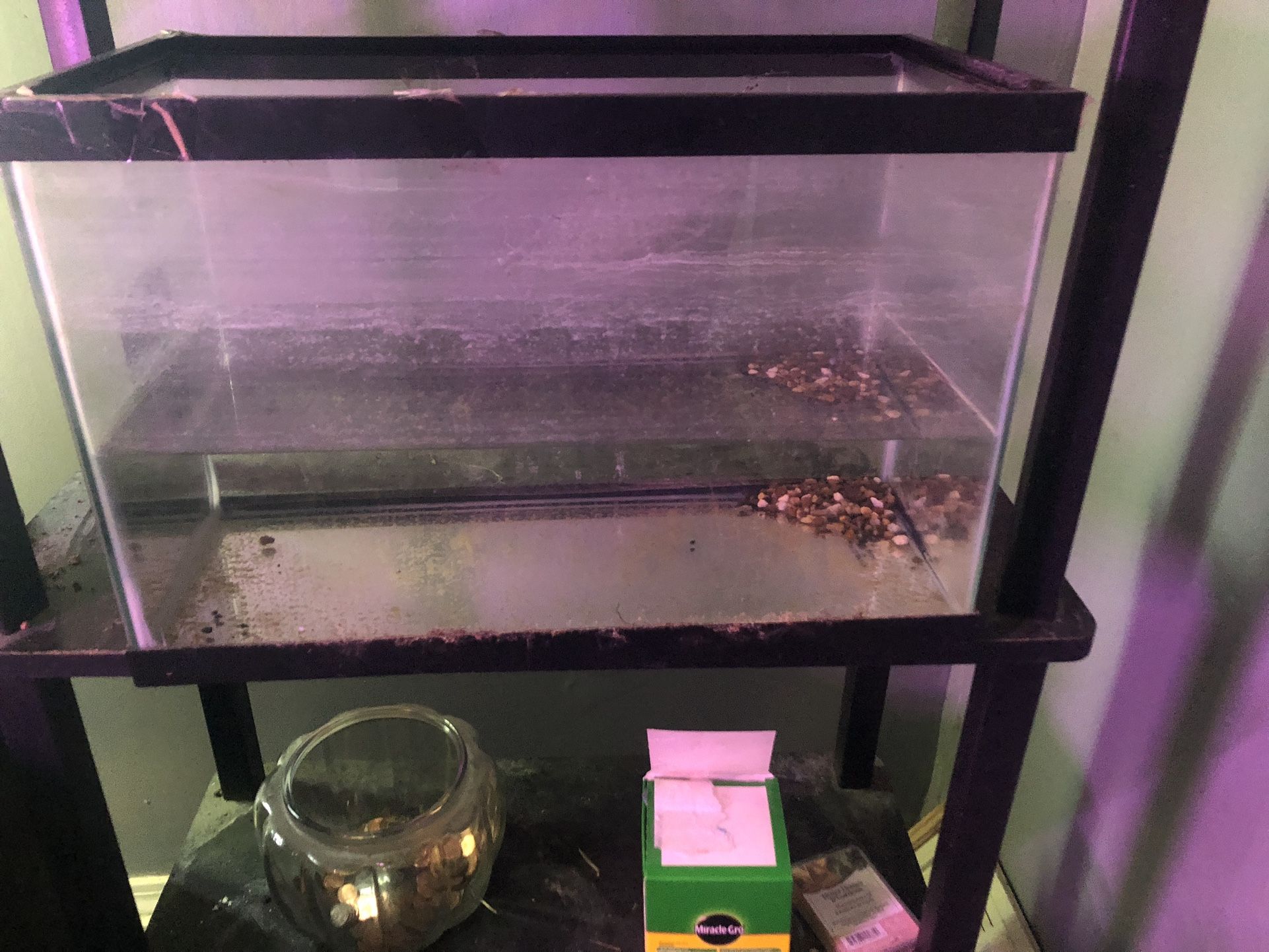 Ten Gallon Tank