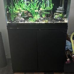 30 Gallon Aquarium Complete Setup