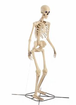 NEW GIANT SKELLY WITH LED LIGHTS EYES AND TALK