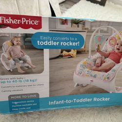 Infant To Toddler Rocker