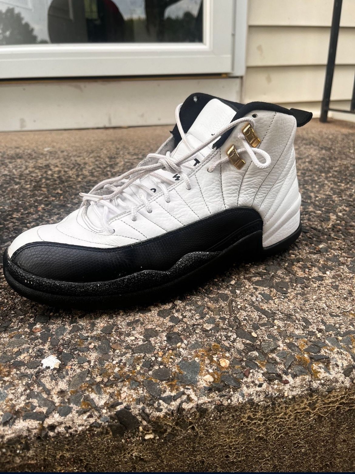 Jordan 12s Royalty