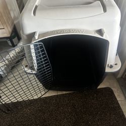 Large Top Paw Plastic Travel Carrier Need Gone $42/obo