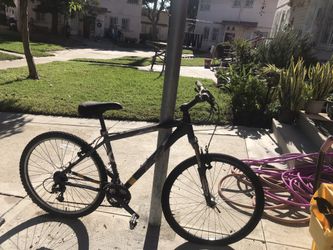 Bicycle