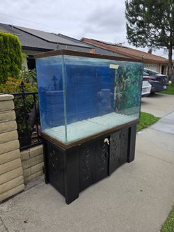 FREE FISH TANK with STAND