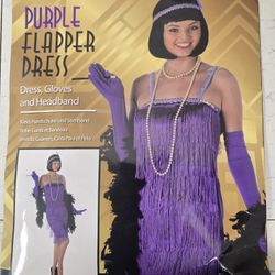 Great Gatsby 1920's Purple Flapper Dress Women's Costume XS