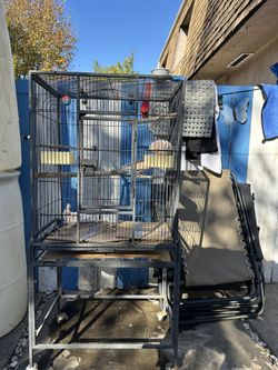 Bird Cage With Birds 