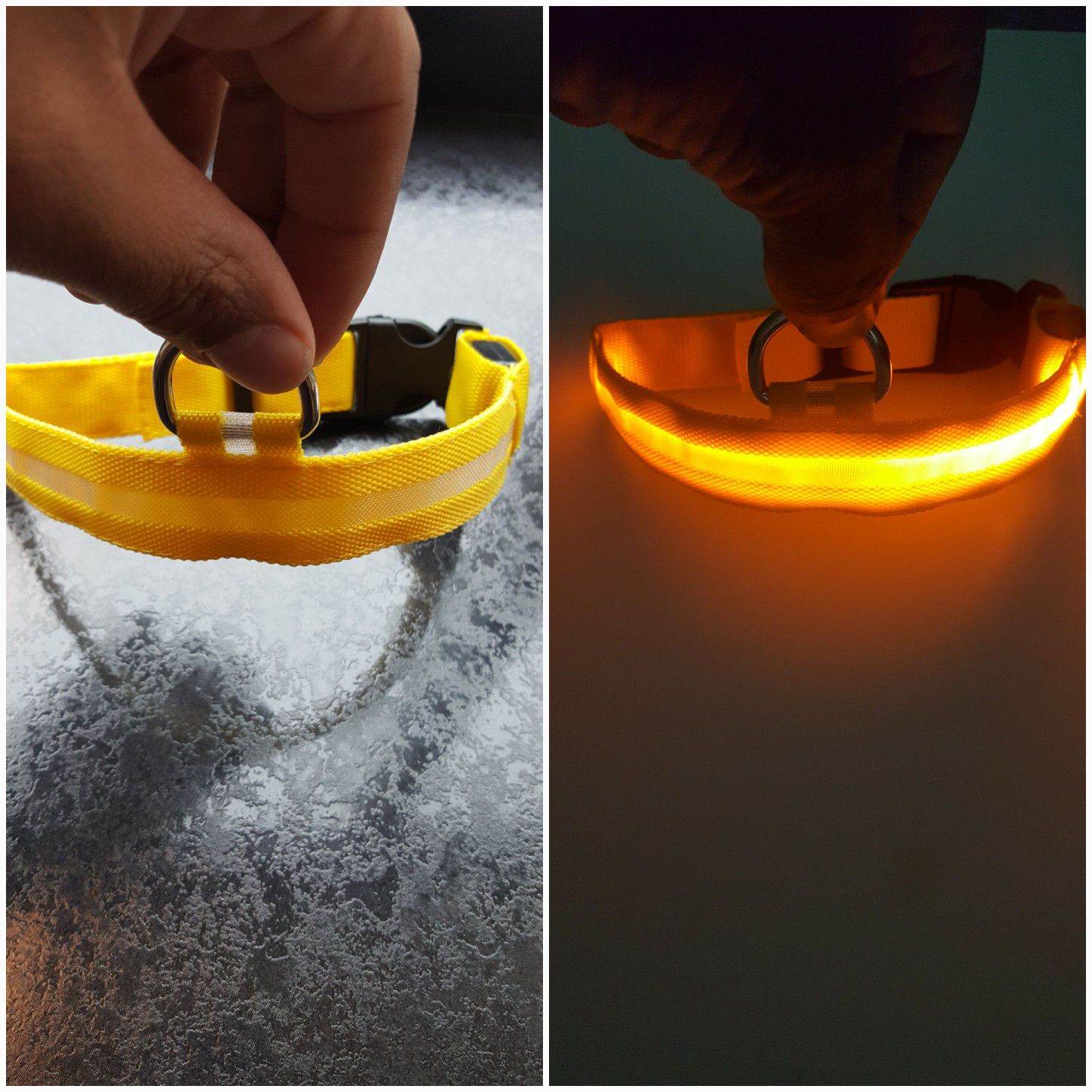 Yellow LED Dog Collar - i deliver