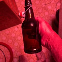 Grolsch Bottles for Beer & Coder Makers