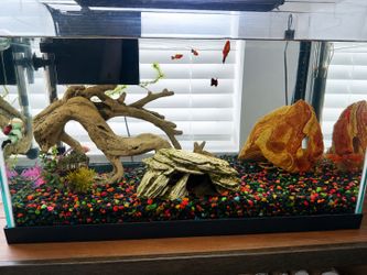 Aquarium All included