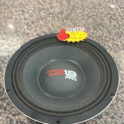 Ds-18pro 10” Subwoofer 
